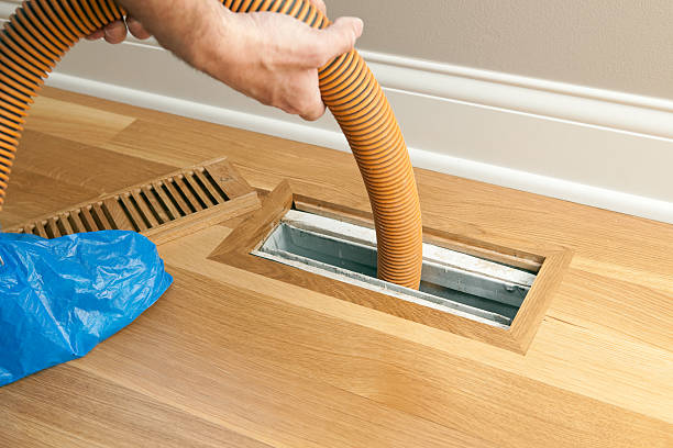 Best HVAC System Cleaning  in Elfers, FL